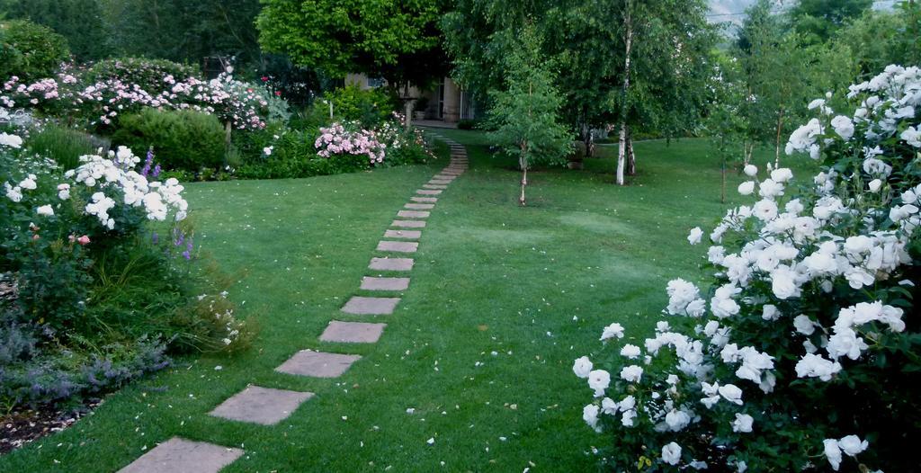 Hotel Millpond House Clarens Exterior foto